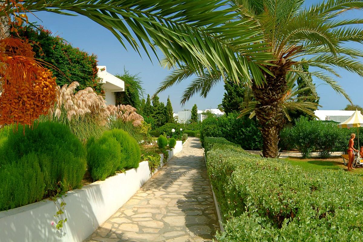 Hotel El Fell à Hammamet Extérieur photo